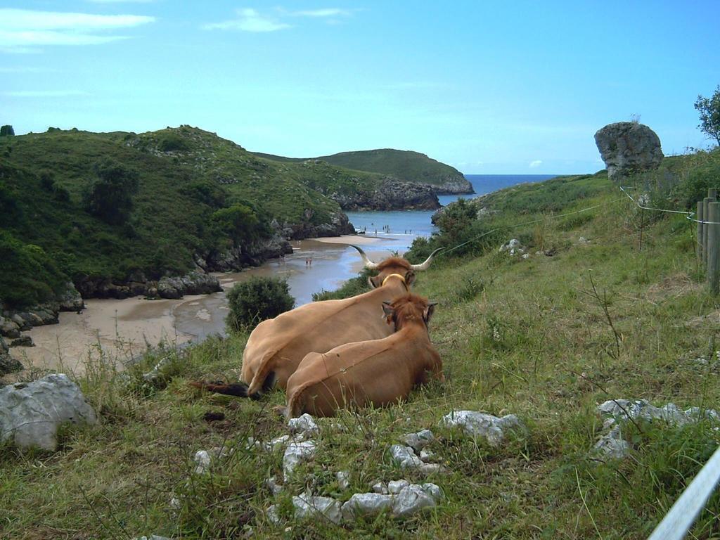 Eco-Hostel La Casa Verde Poo De Llanes Εξωτερικό φωτογραφία