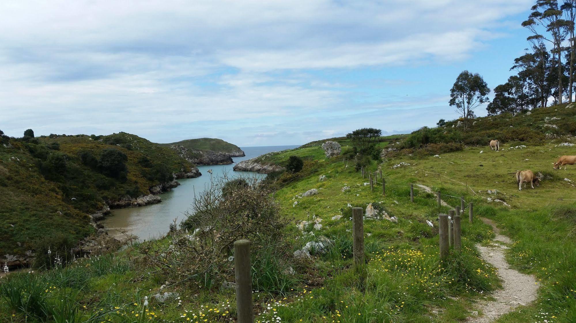 Eco-Hostel La Casa Verde Poo De Llanes Εξωτερικό φωτογραφία